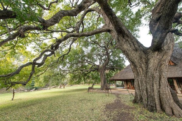 Blyde River Canyon Lodge (Hoedspruit)